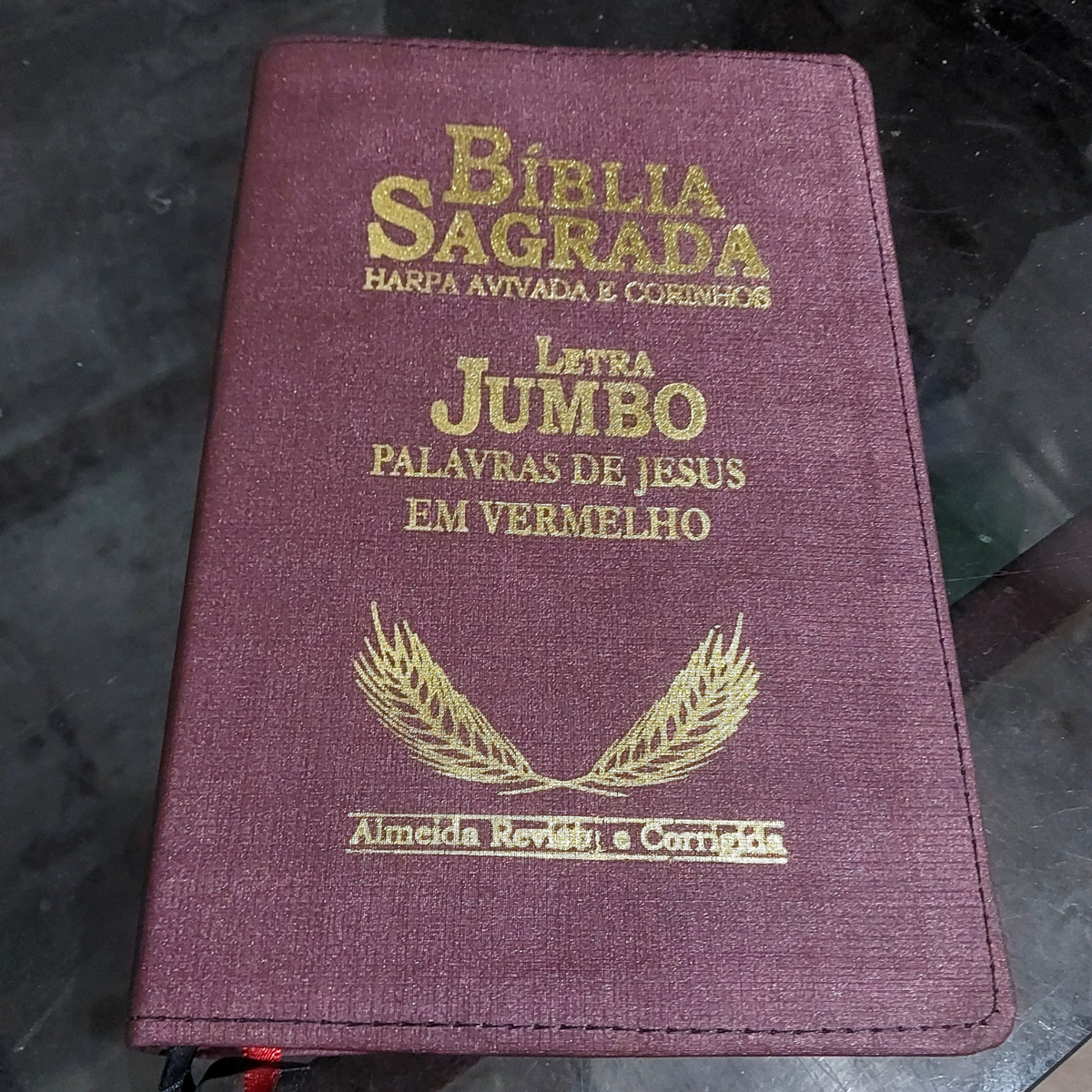 Bíblia Sagrada Letra Jumbo – Edição Premium com Harpa e Corinhos