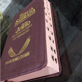 Bíblia Sagrada Letra Jumbo – Edição Premium com Harpa e Corinhos